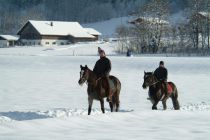 Pferdeschlitten und Winterreiten